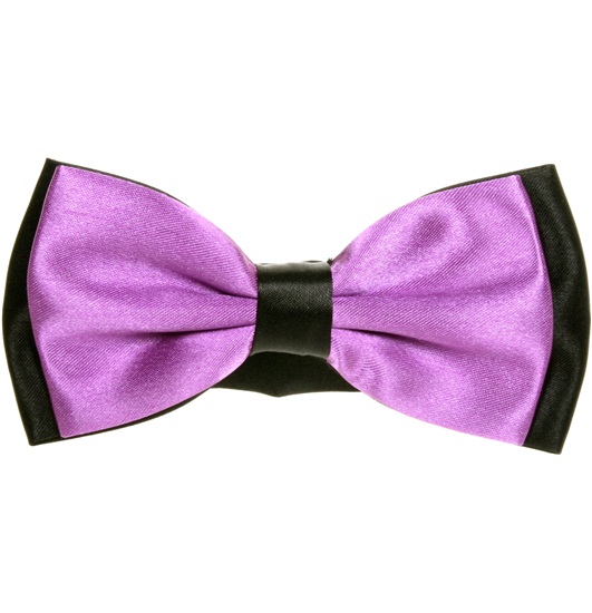 Zweifarbige Schwarze und Violette Fliege aus Satin
