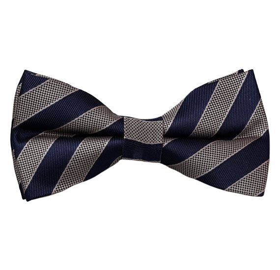 Fliege Gestreift Marineblau und Beige