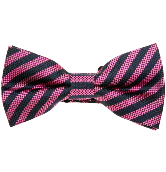 Fliege Gestreift Magenta und Marineblau