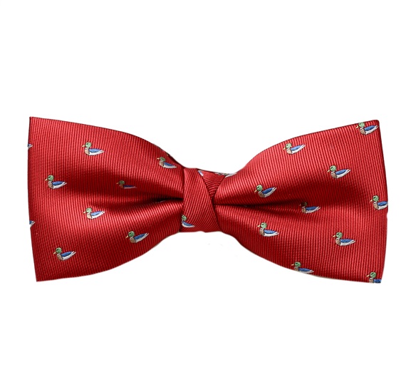 Rote Fliege mit Enten