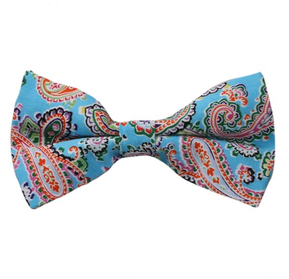 Paisley Fliege Türkis