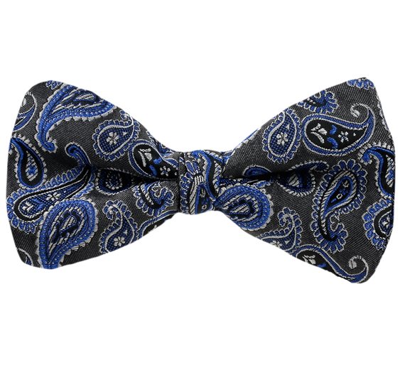 Grüne Fliege mit Paisley-Design in Blau