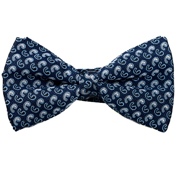 Marineblauer Krawatte und marineblauer Kaschmirschal