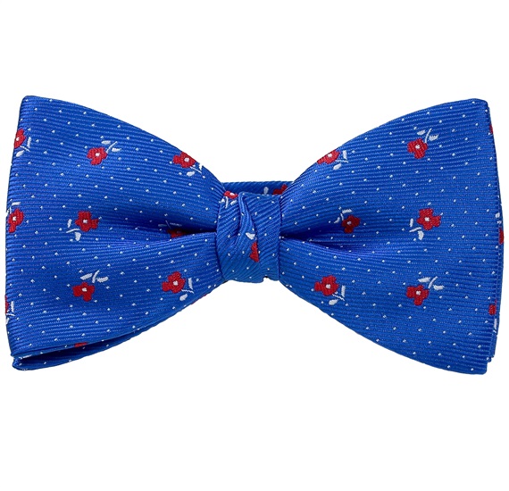 Blauer Fliege und Taschentuch mit Roten Rosen