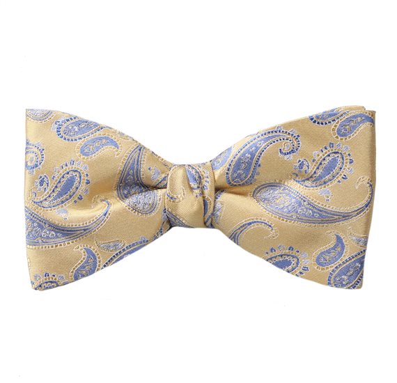 Gelbe Seidenfliege und Blaues Paisley-Seidentuch