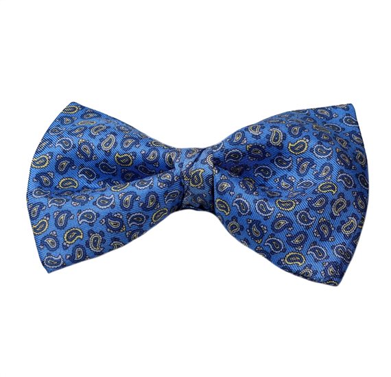 Fliege und Seidentaschentuch Blau Frankreich Paisley Blau