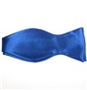 Blauer Fliegenbinder