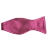 Magenta Fliege