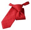 Corbata Niño Roja con Lunares Azules