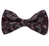 Rote Paisley-Design Blaue Fliege