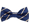 Marineblaue Fliege mit goldenen Streifen