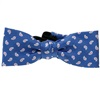 Babyblaue Fliege mit rosa Kaschmir