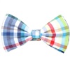 Karierte Multicolor Fliege