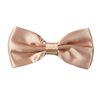 Elegante Beige Fliege