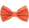 Orangefarbene Fliege