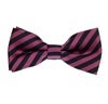 Kinder Fliege Gestreift Marineblau und Magenta