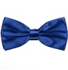 Fliege aus Blauem Satin