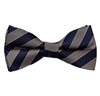Fliege Gestreift Marineblau und Beige