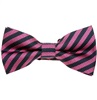 Fliege Gestreift Magenta und Marineblau