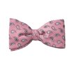 Pajarita Rosa Paisley