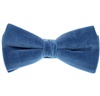 Blauer Samtfliege
