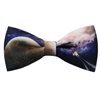 Fliege Universum-2