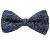 Grüne Fliege mit Paisley-Design in Blau