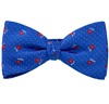 Blauer Fliege und Taschentuch mit Roten Rosen