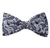 Blauer Paisley-Fliege und Taschentuch in Grau