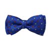 Fliege und Einstecktuch Junge Blaue Blumen