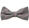 Fliege und Einstecktuch Prinz von Wales
