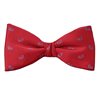 Fliege und Einstecktuch Rot Paisley Blau