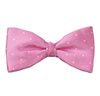Fliege und Einstecktuch in Rosa mit Punkten