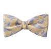 Gelbe Seidenfliege und Blaues Paisley-Seidentuch